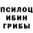 Галлюциногенные грибы Psilocybine cubensis Allyson Telles