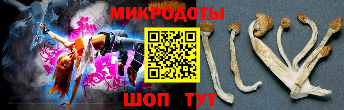 Галлюциногенные грибы ЛСД  Псилоцибиновые грибы GOLDEN TEACHER  Вход с VPN  Юрга 