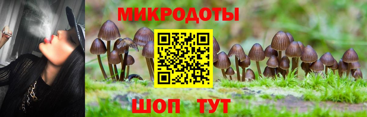 Галлюциногенные грибы мухоморы Юрга